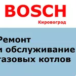 Ремонт  котлов BOSCH в Кировограде