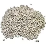 Насіння квасолі Червона Шапочка,  Неві Бінс,  Ред Кідні,  Пінто