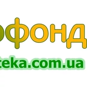 Закупаем зерно по Кировоградской области