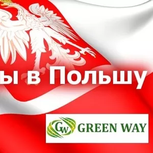  Легальне працевлаштування в Польщі