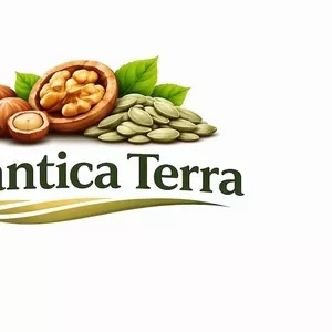Стабільний постачальник волоського горіха та фундука Plantica Terra