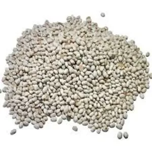 Насіння квасолі Червона Шапочка,  Неві Бінс,  Ред Кідні,  Пінто