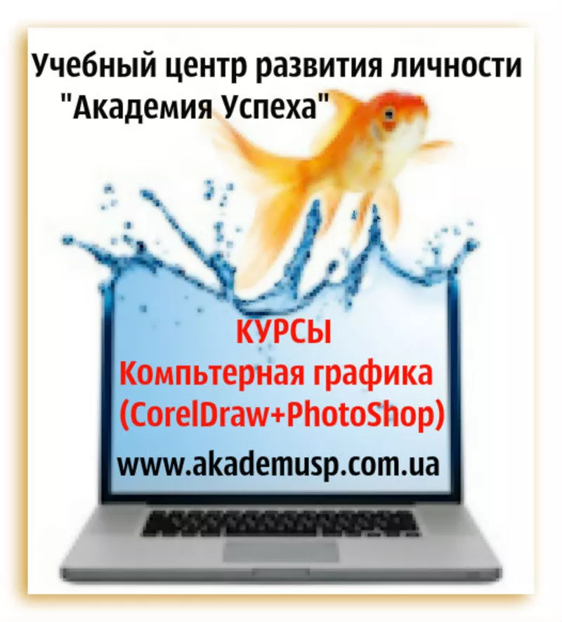 Компьютерные курсы в Кировограде. 5