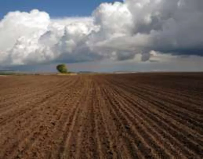 продам 16га сільськогосподарської землі в кіровоградській області.