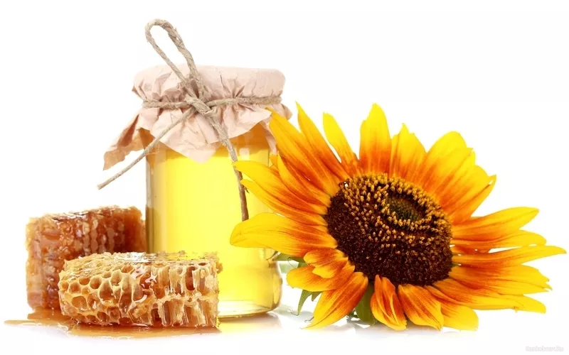Куплю мед без антибиотика по всей Украине