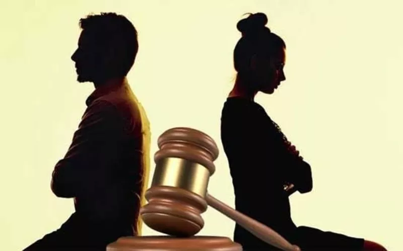 Адвокат по семейным делам Виноградарь. Развод через суд 3