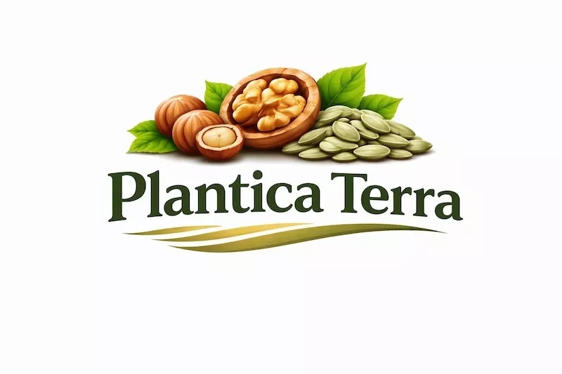 Стабільний постачальник волоського горіха та фундука Plantica Terra